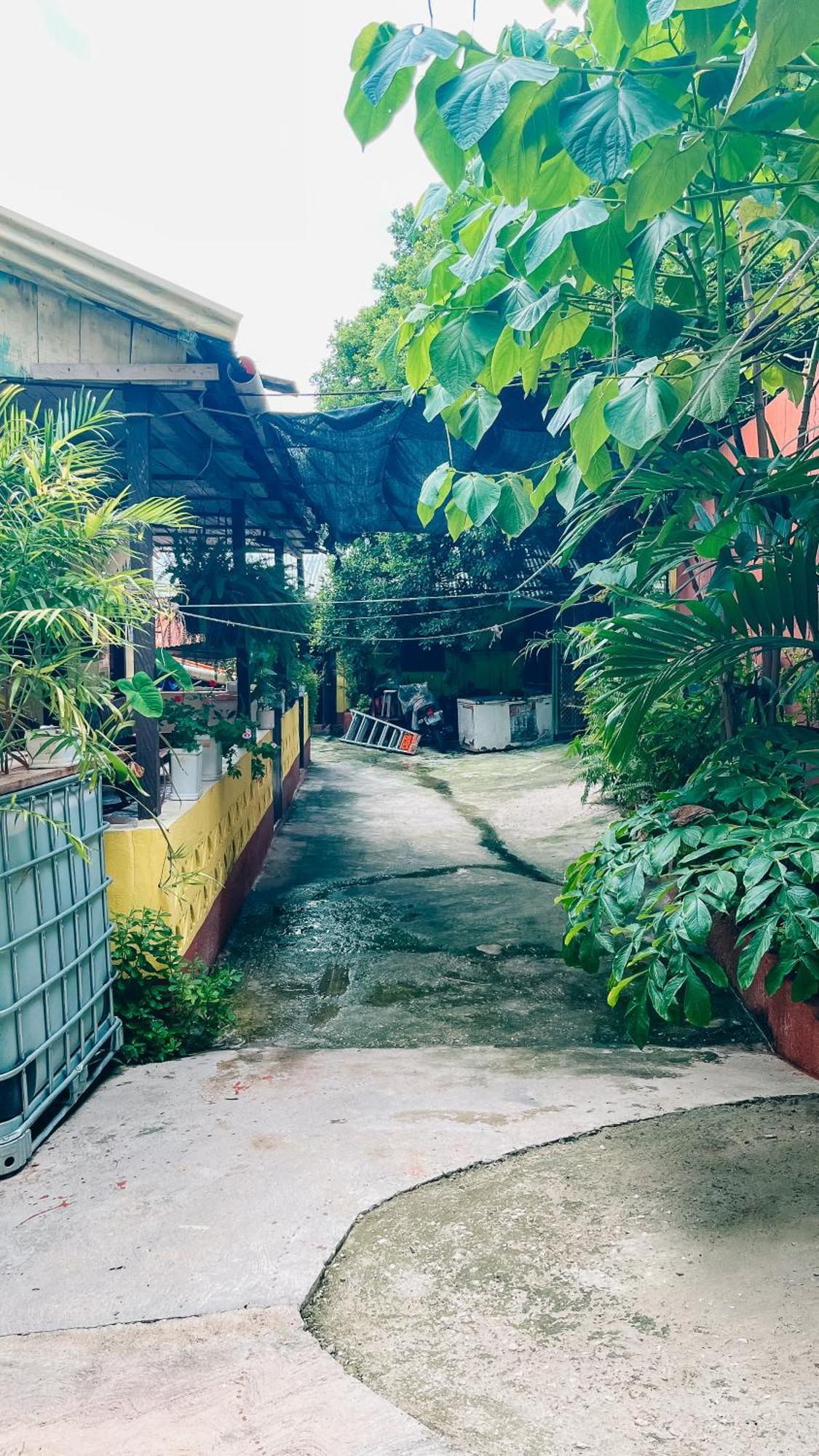 Zazil Ha Hostel El Remate Εξωτερικό φωτογραφία