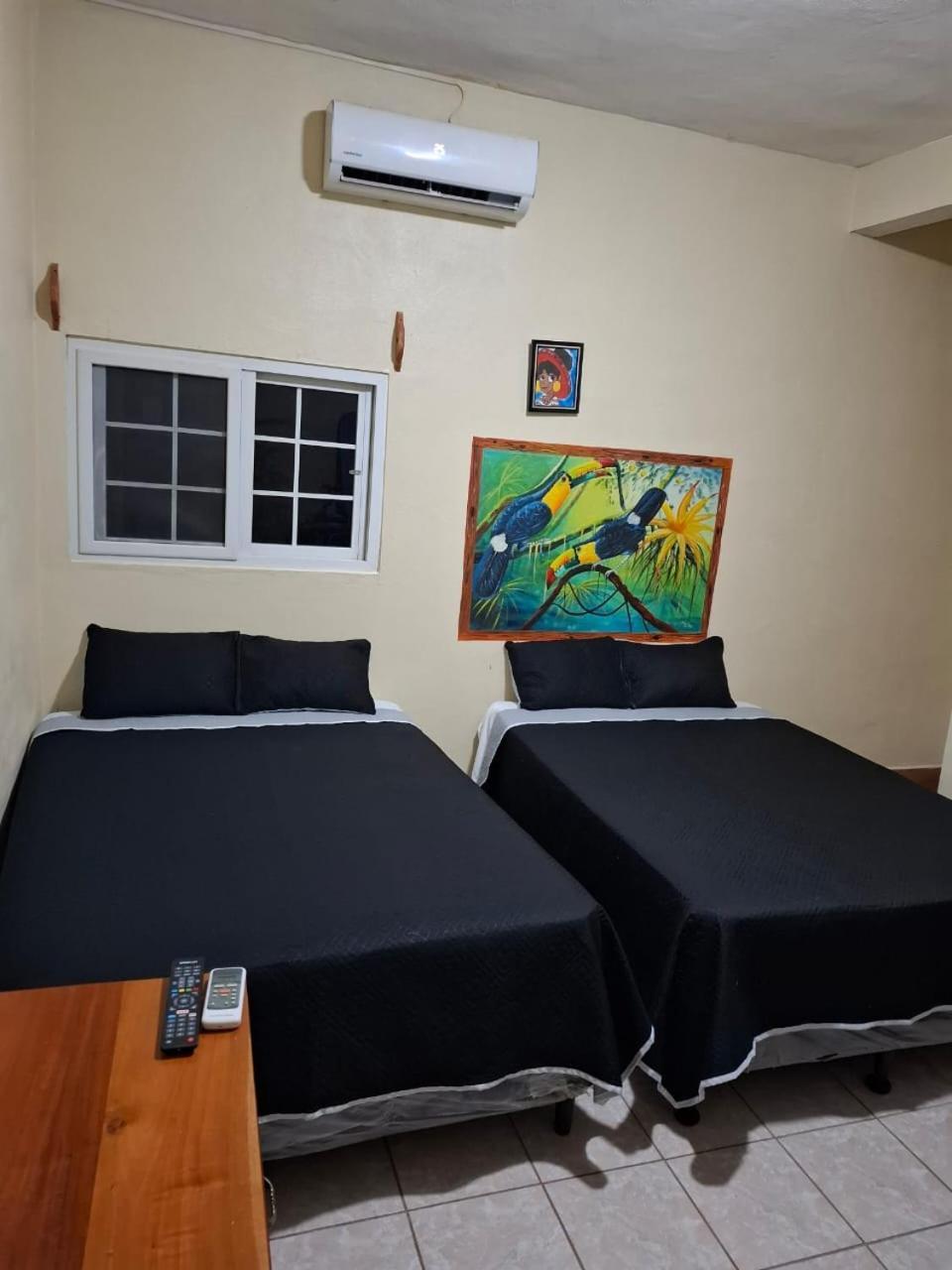 Zazil Ha Hostel El Remate Εξωτερικό φωτογραφία